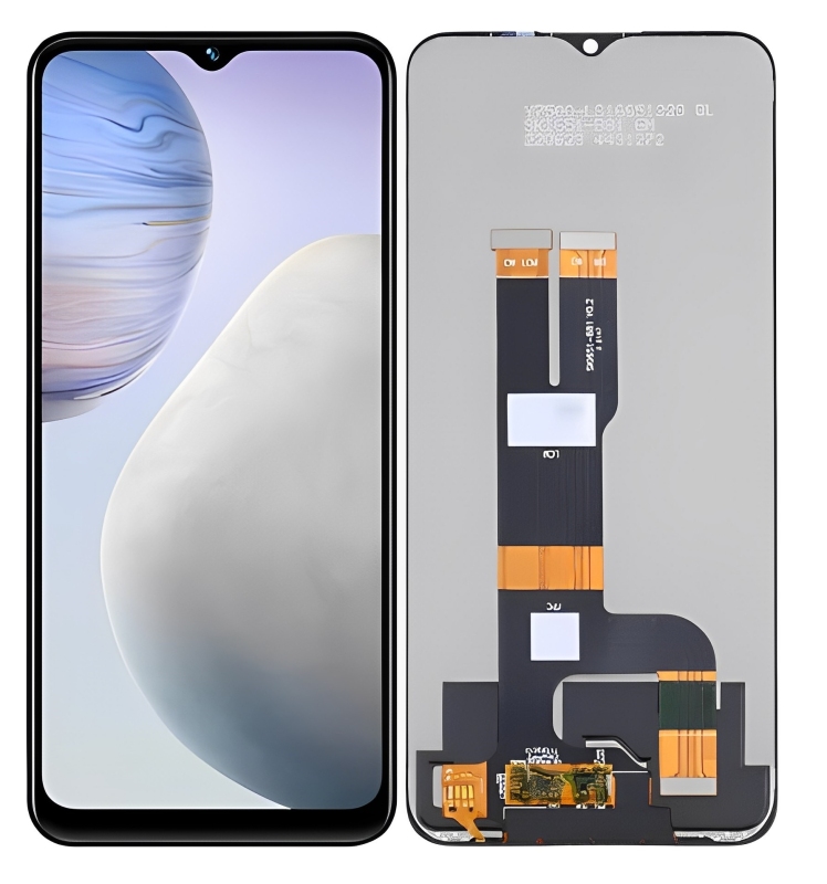 Y11 (2023)
