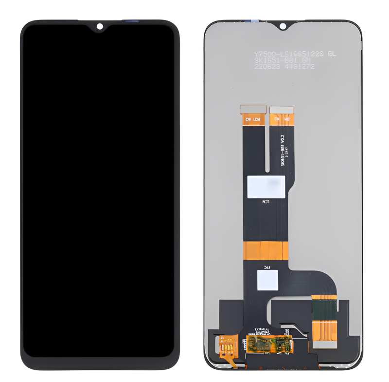 Y11 (2023)