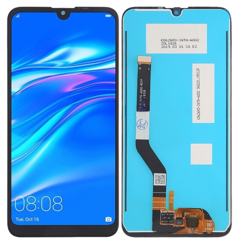 Y7 (2019)