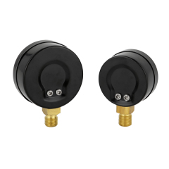 Dry Pressure Gauge