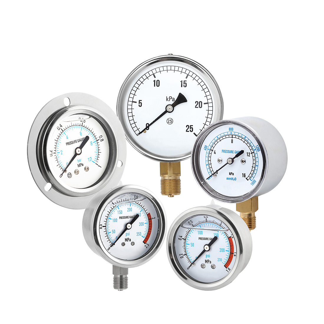 Stainless Steel Pressure Gauge