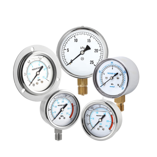 Stainless Steel Pressure Gauge