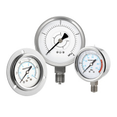 Stainless Steel Pressure Gauge