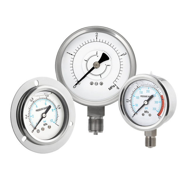 Stainless Steel Pressure Gauge