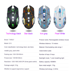 Q13 OEM/ODM 2.4G BT wireless mouse mobile supported hyper speed wireless rgb backlit 6d gaming pc mouse