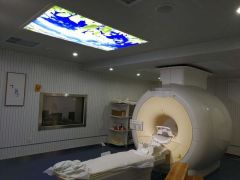 1.5t 1.3t Rf Shielding Room Design For Mri Rooms RFI EMI Shielded Enclosure