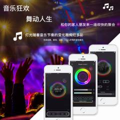Bluetooth Music IR 28 Keys RGB(W) Controller