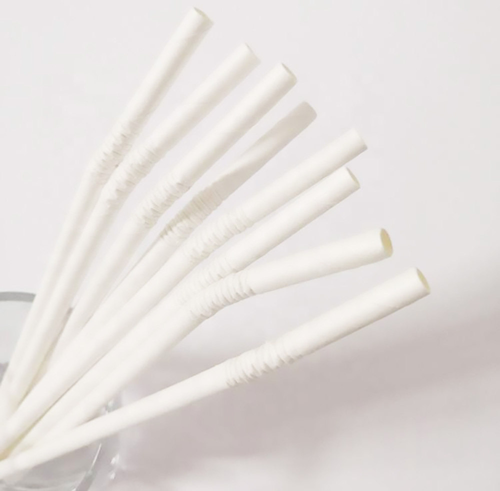 TG-Compostable Patterned Paper Straws 400cts