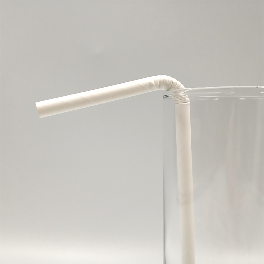 TG-Compostable Patterned Paper Straws 400cts