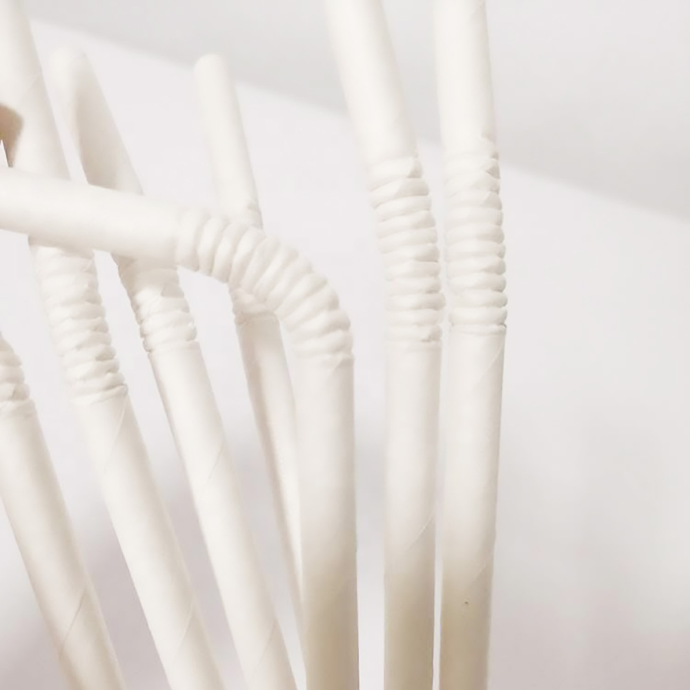 TG-Compostable Patterned Paper Straws 400cts