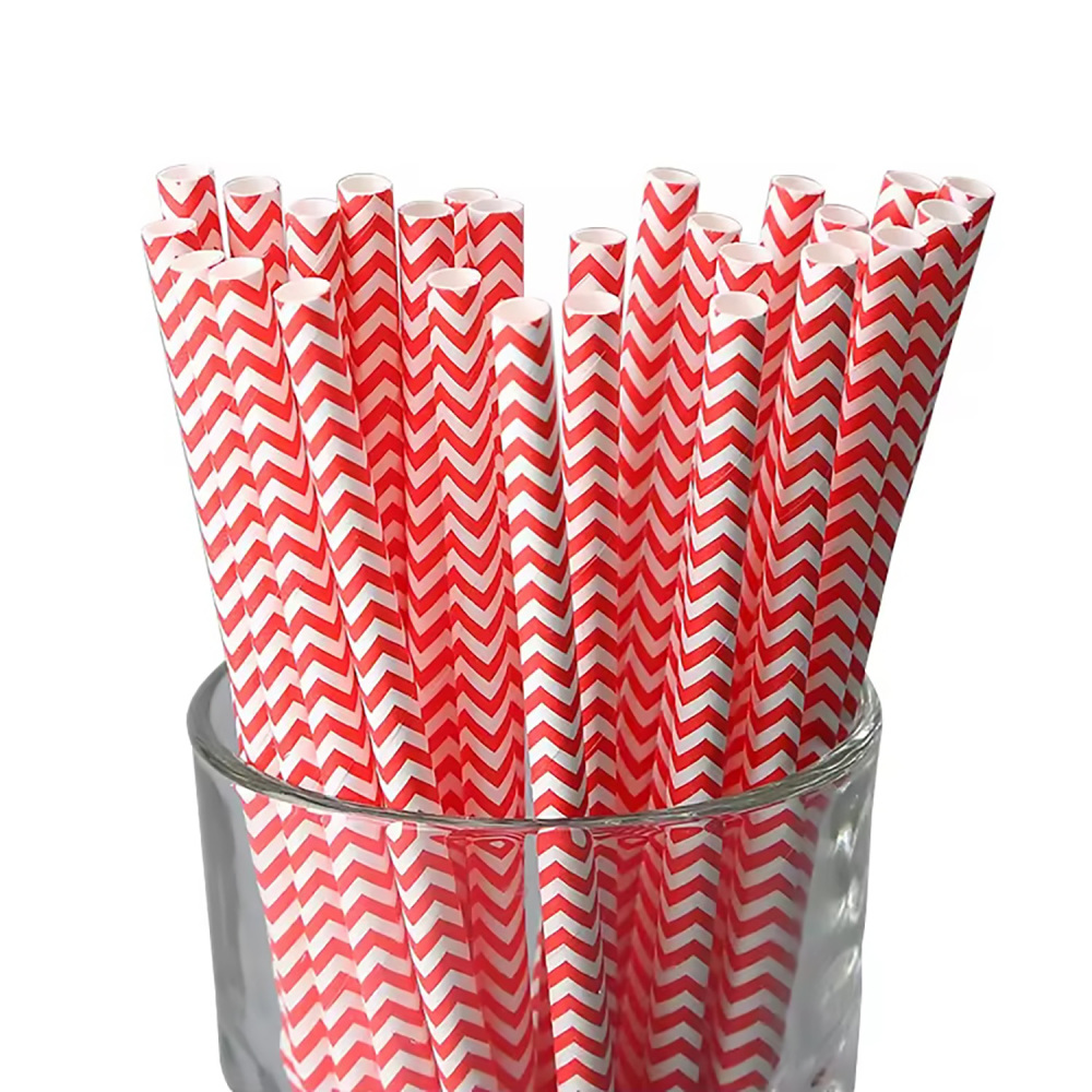 TG-Compostable Patterned Paper Straws 400cts