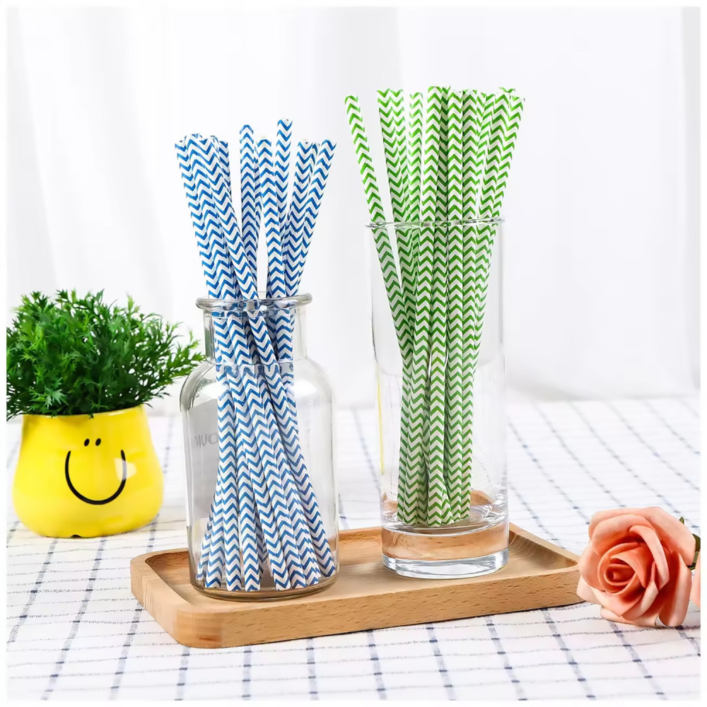 TG-Compostable Patterned Paper Straws 400cts