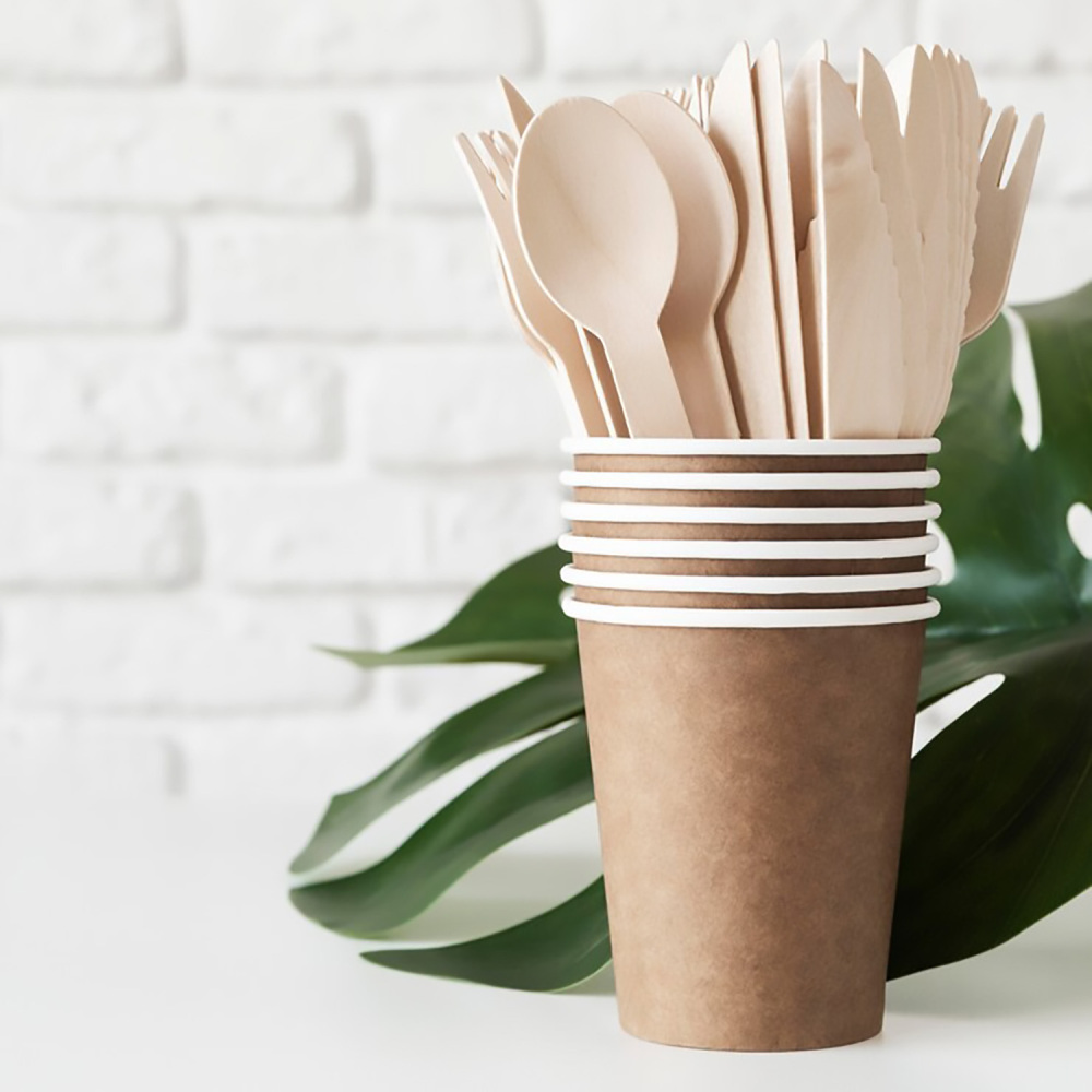 TG Compostable Wooden FORKS 12boxes/360ct
