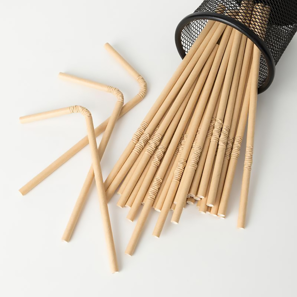 TG-Compostable Patterned Paper Straws 400cts