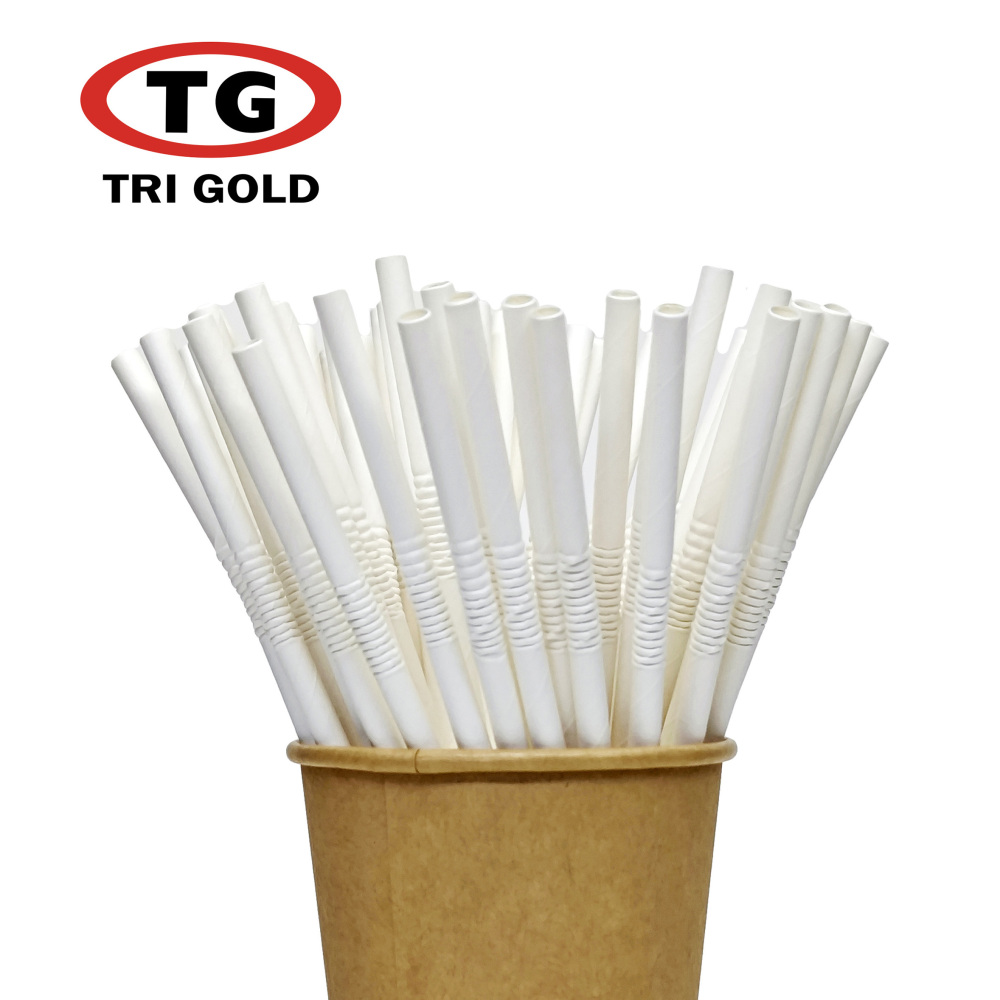 TG-Compostable Patterned Paper Straws 400cts