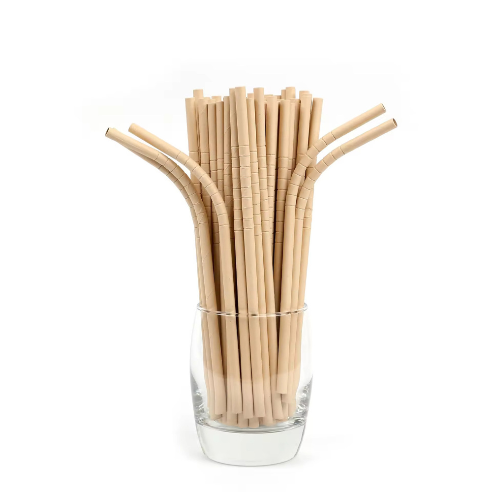 TG-Compostable Patterned Paper Straws 400cts
