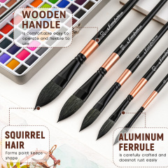 Fontainebleau Elegant 5pcs Cat's Tongue Squirrel Hair Art Paint Brush Watercolor Paint Brush for Artist Painting Brushes