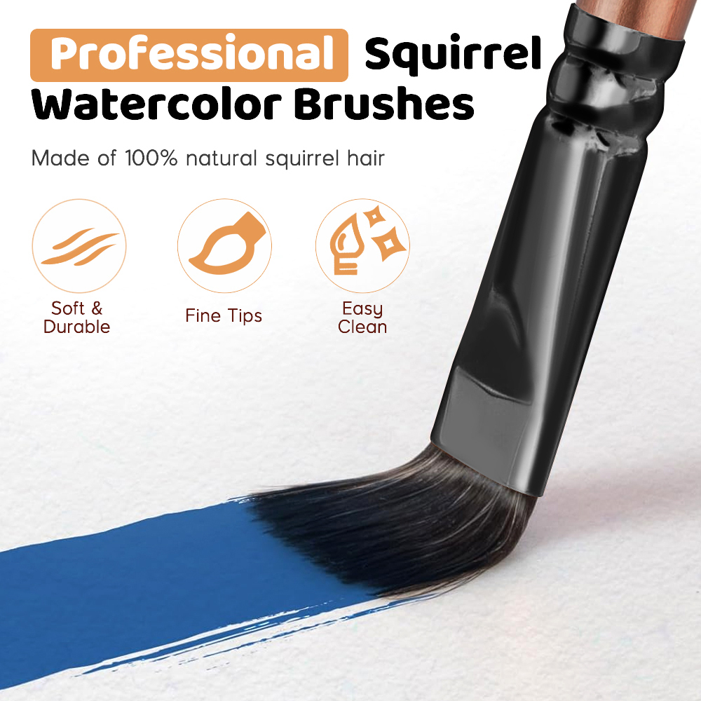 Fontainebleau Premium Compact 5pcs Set Acrylic Brush Set Black Ferrule Watercolor Painting Brush Artist Painting Brushes