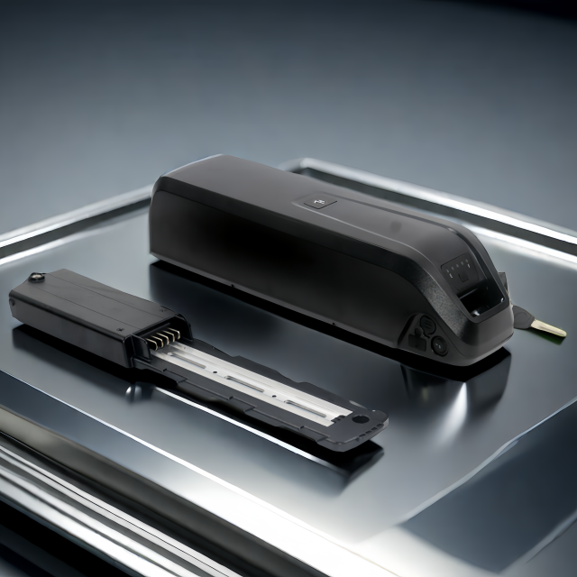 Surlon Power NCM |  Hailong E-bike battery