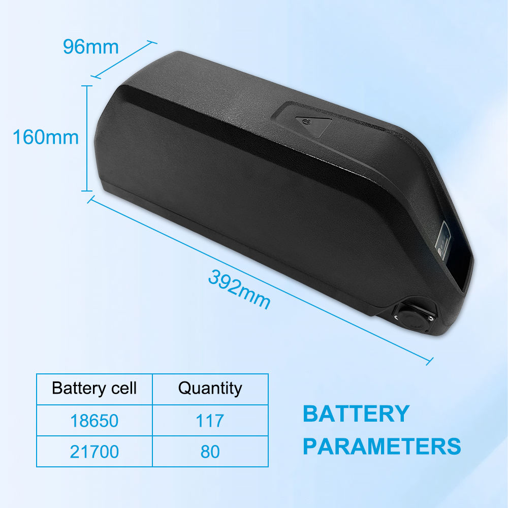 Surlon Power NCM Hailong battery pack alternate view