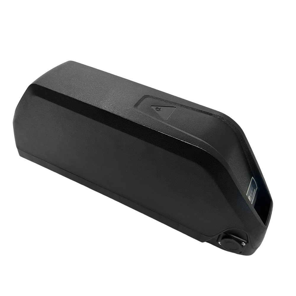 Surlon Power NCM Hailong e-bike battery pack