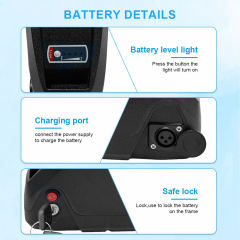 Surlon Power NCM |  Hailong E-bike battery