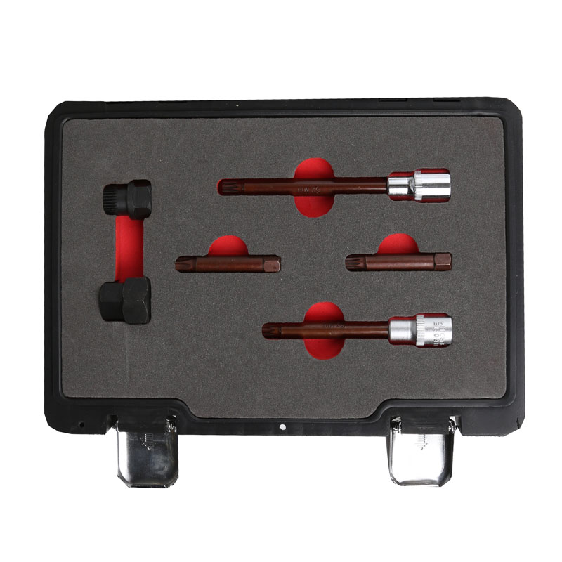 6PC Alternator Freewheel Pulley Removal Set