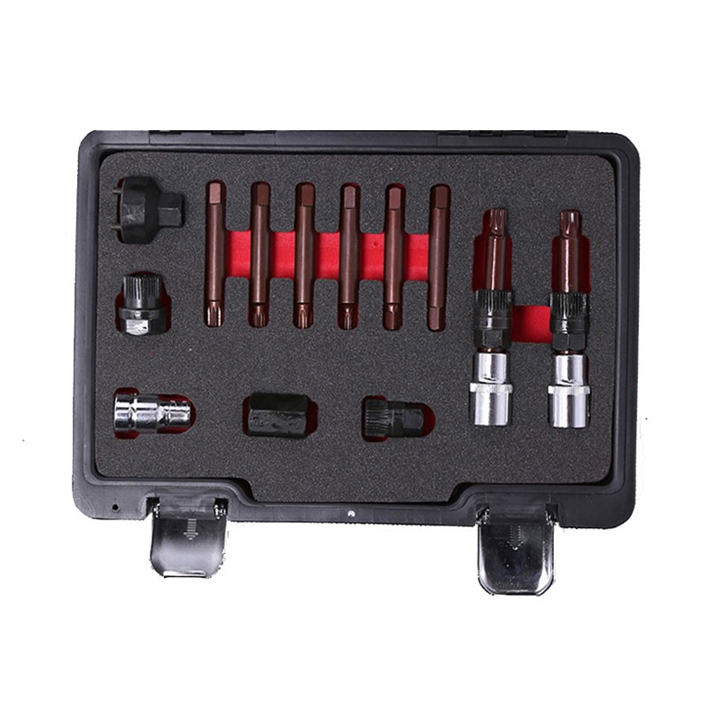 13 Pc Alternator Pulley Kit