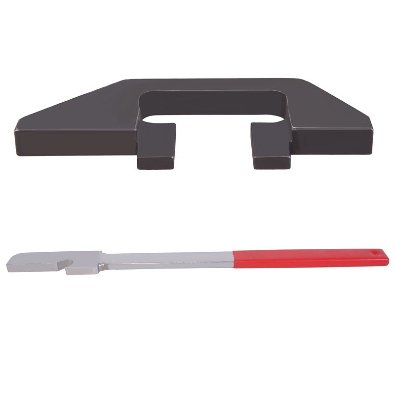 Diesel Engine Timing Kit-BMW, Land Rover, Opel 2.5