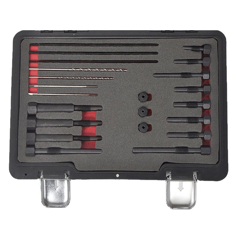 22PCS Glow Plug Electrodes Removal Tool Set, M8 & M10