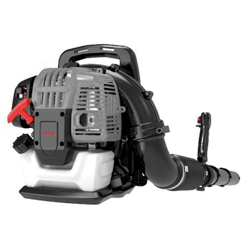 Petrol Blower