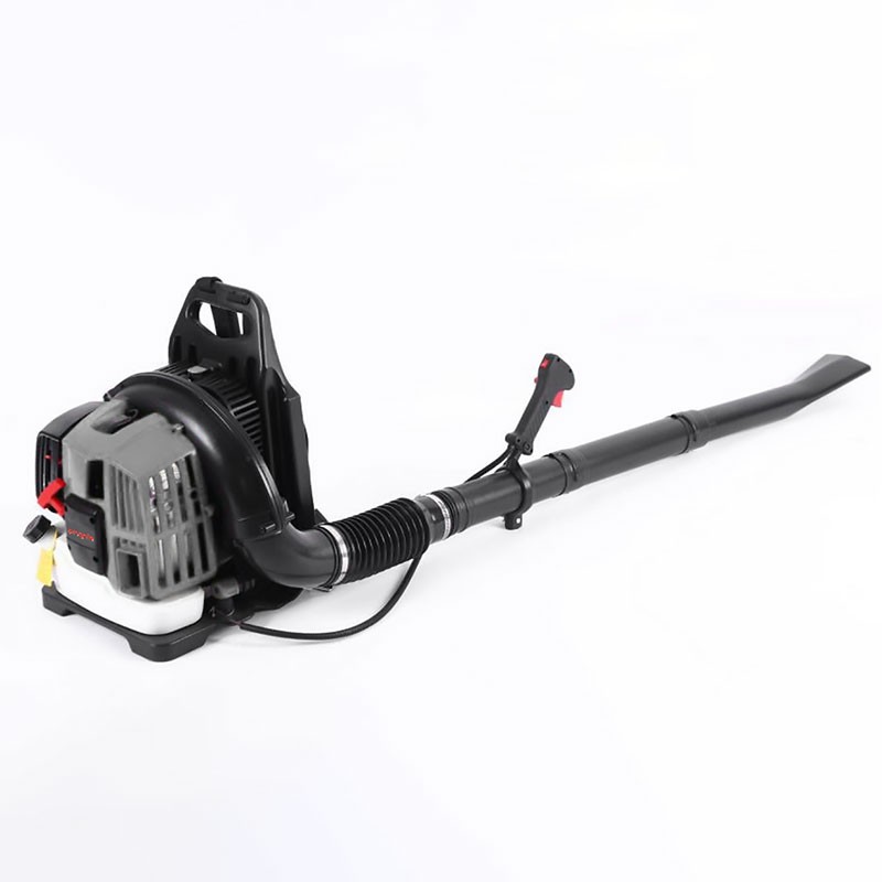 Petrol Blower