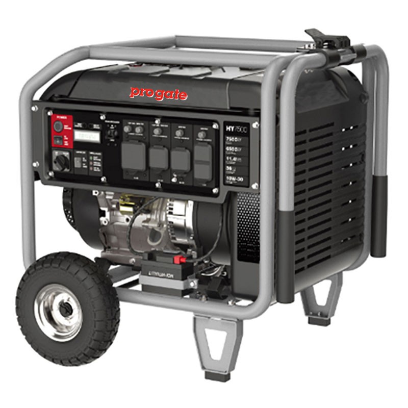 Gasoline Invertor Generator