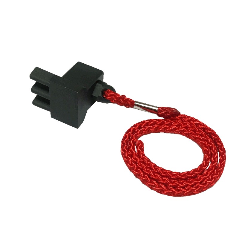 Flywheel Lock Tool-BMW(N55)