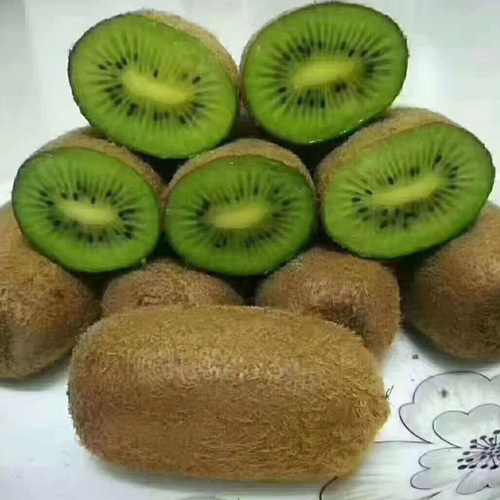 TOP DELICACY Kiwifruit