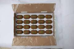 TOP DELICACY Kiwifruit