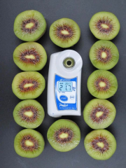 Red kiwi fruit
