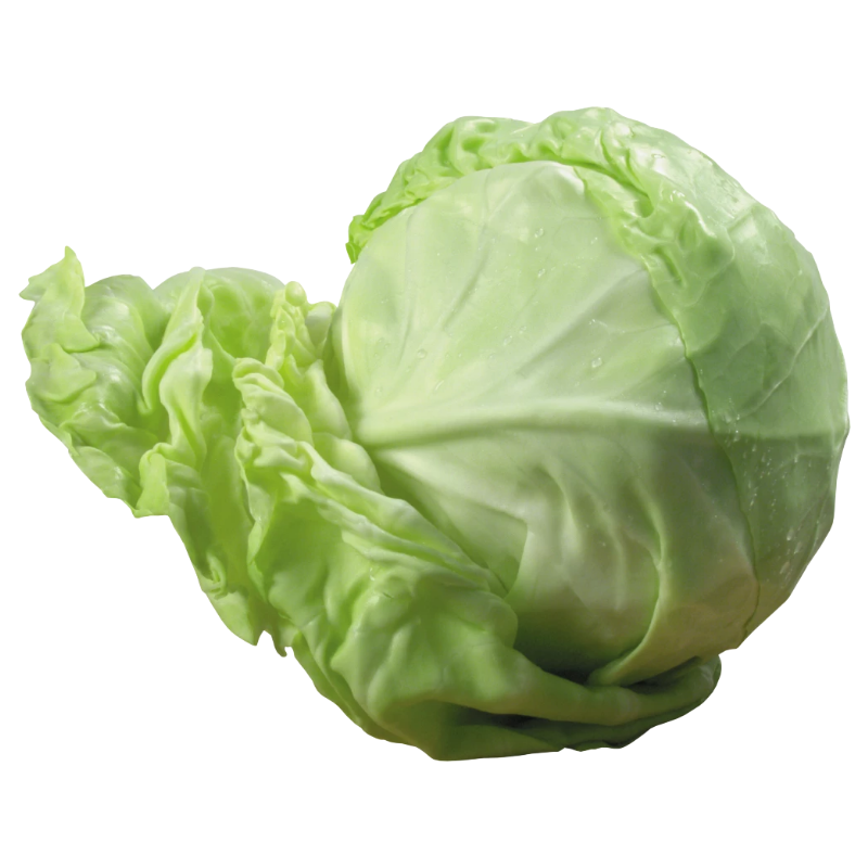 Cabbage