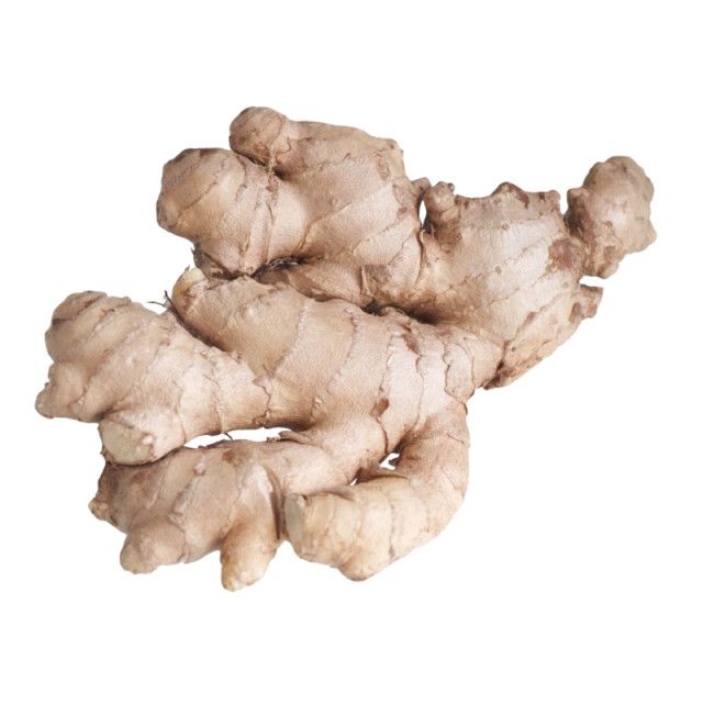 Wanhui Fresh Organic Ginger - The Essence of Flavor and Health