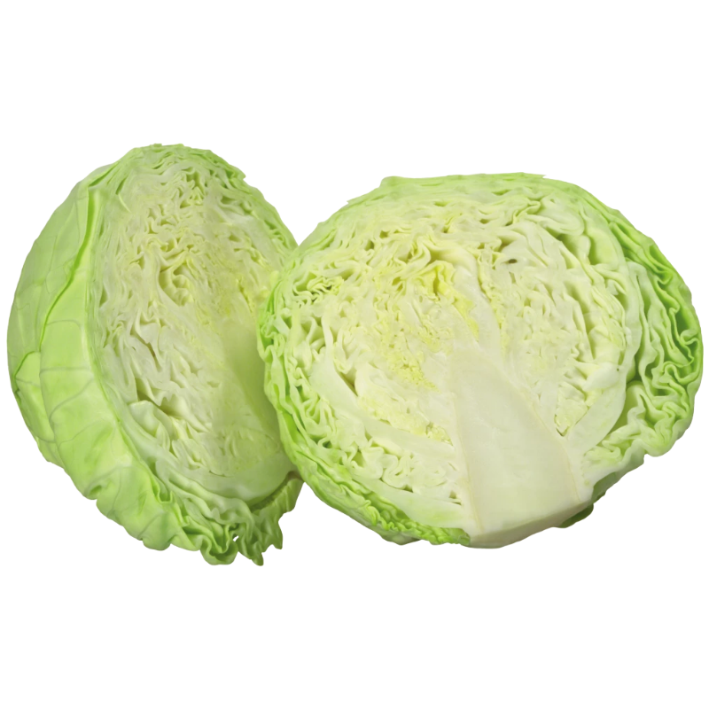 Cabbage