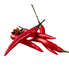Red chili