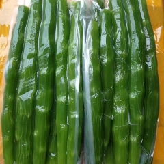 Wanhui's Crisp Garden Fresh Lettuce - Naturally Grown