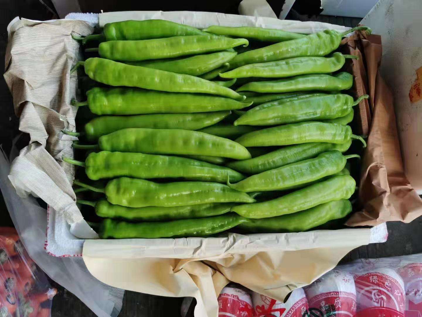 Wanhui Premium Long Pepper - Exotic and Aromatic Spice
