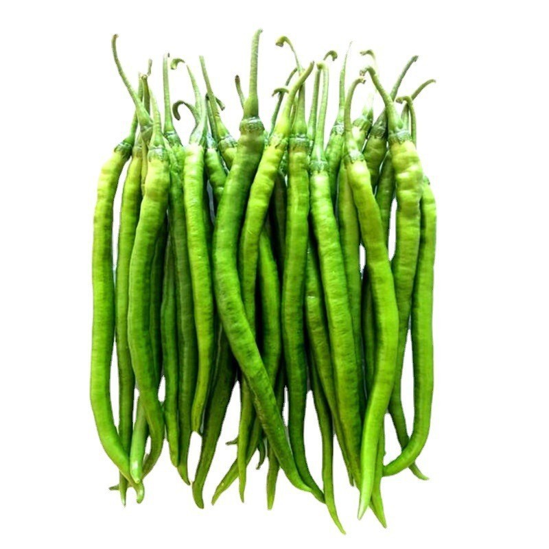 Wanhui's Nutrient-Rich Eggplants - Fresh & Flavorful