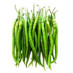 Wanhui's Nutrient-Rich Eggplants - Fresh & Flavorful