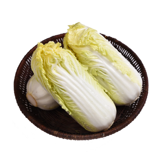 Chinese Cabbage
