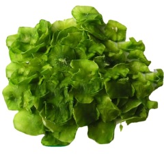Dehydrated celtuce