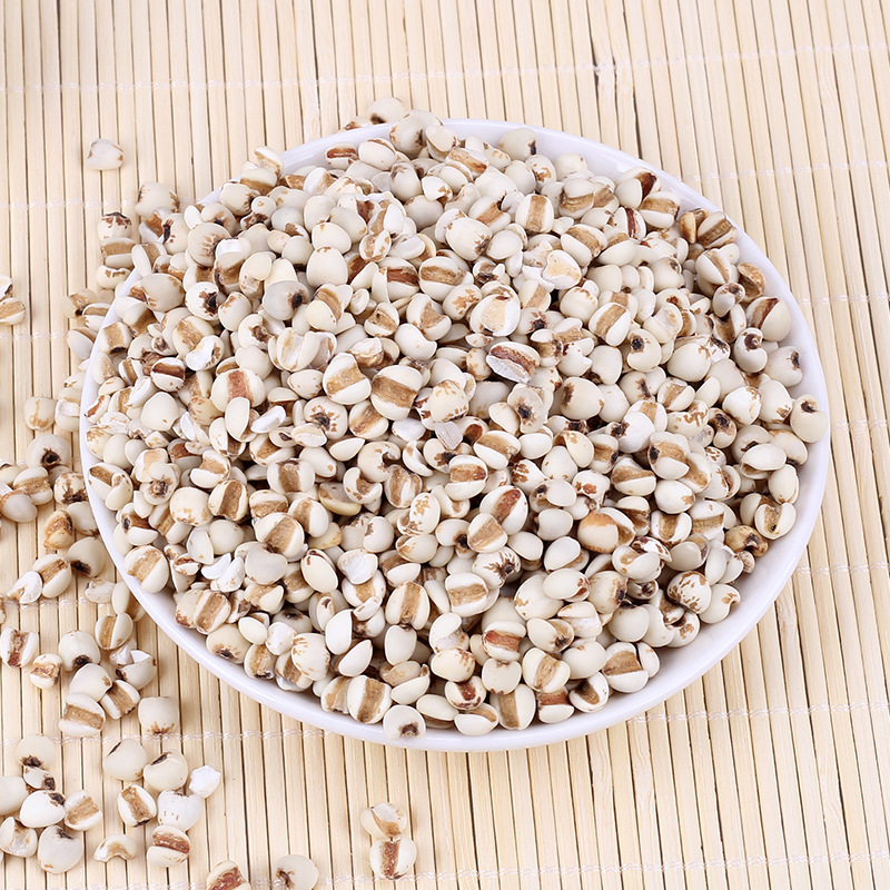 Job's tear grains (Coix lacryma)