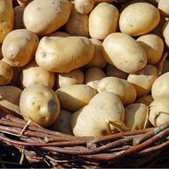 Fresh Potatoes - Wholesale Vegetable Supplier