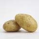 Fresh Potatoes - Wholesale Vegetable Supplier